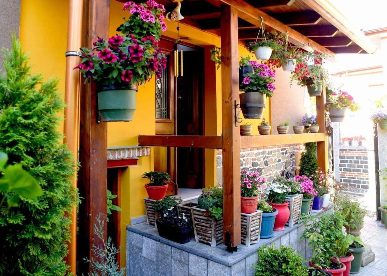 Hotel Bujtina Bicolli Korça Exteriör bild
